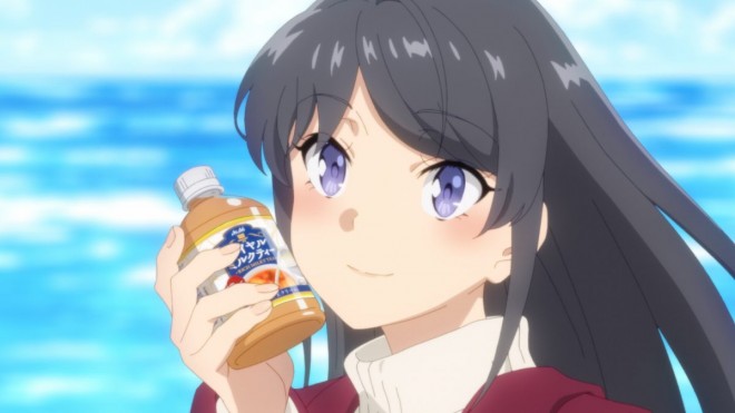 Rascal Does Not Dream of Santa Claus